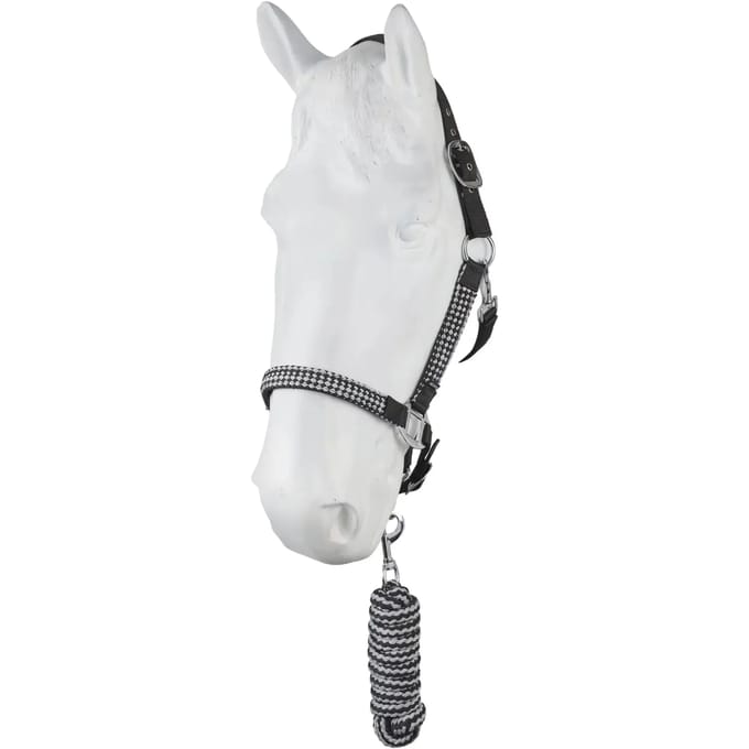 Halster en touwset voor paarden Horze Chicago