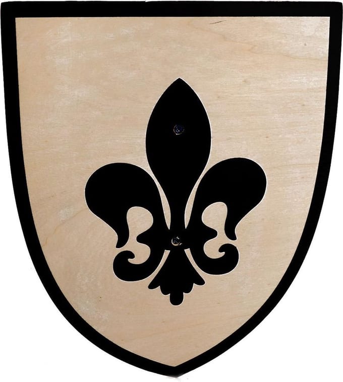 Playwood Wooden Shield