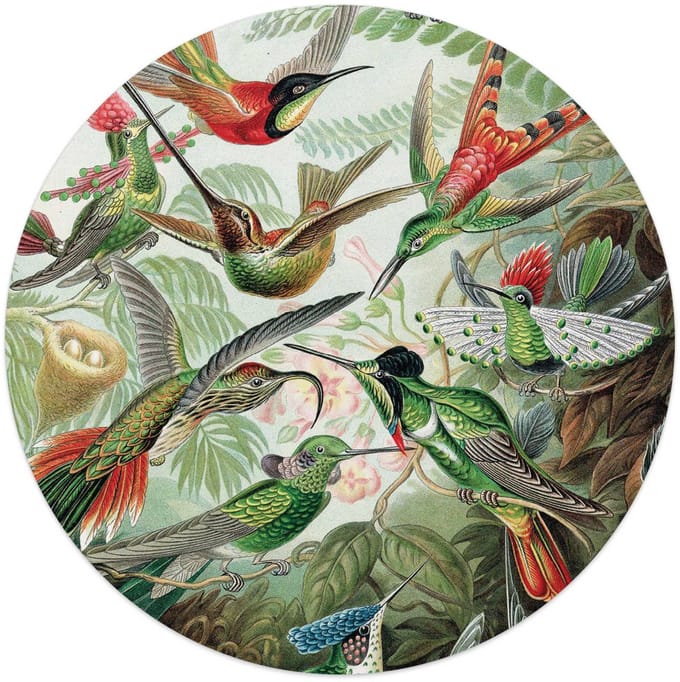 Plexiglasschilderij Hummingbirds - Ø 50 - Acrylglas - REINDERS