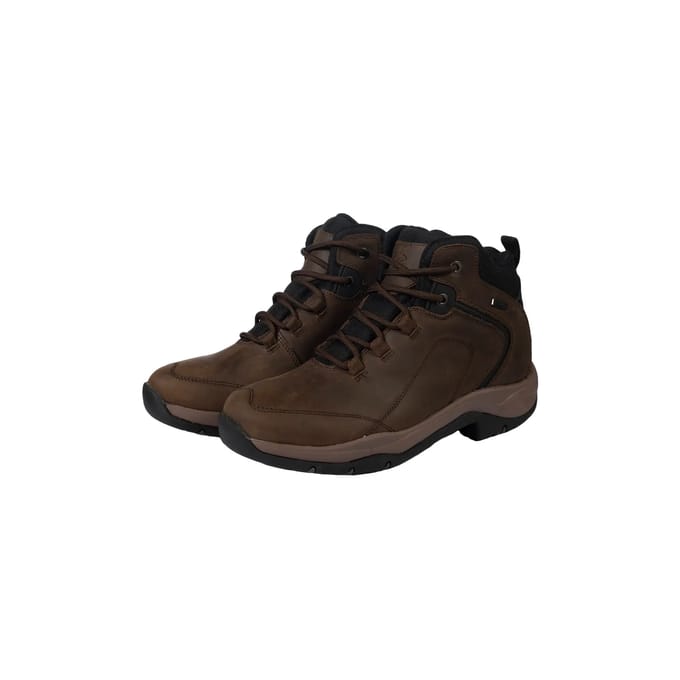 Stal- en trekkingschoen Explorer bruin maat 45