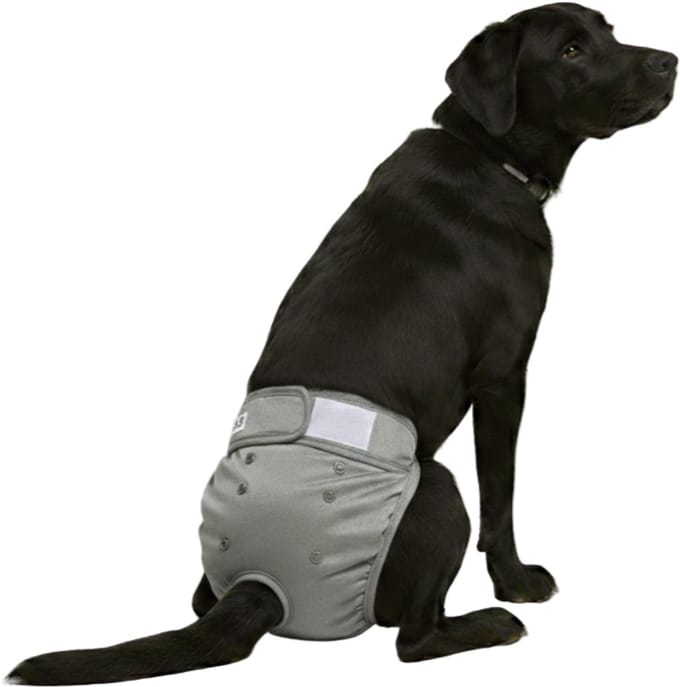 Loopsheidbroekje Hond - XL - Hondenluier - Grijs - Wasbaar