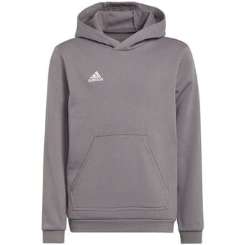 adidas Performance Entrada 22 Sweat Hoodie - Kinderen - Grijs- 140
