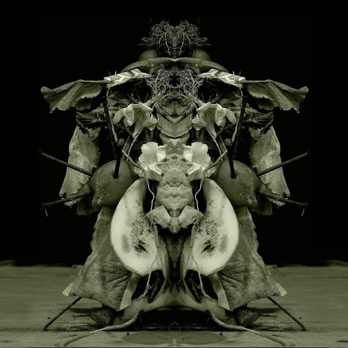 Gurun Gurun - Uzu Oto (LP)