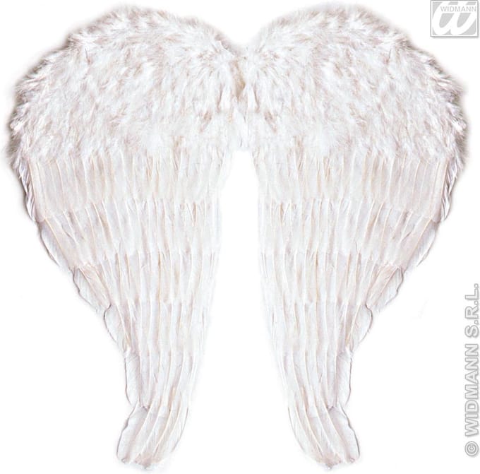 Widmann - Engel Kostuum - Veren Vleugel Engel, 46x51 Centimeter In Wit - Wit / Beige - Carnavalskleding - Verkleedkleding