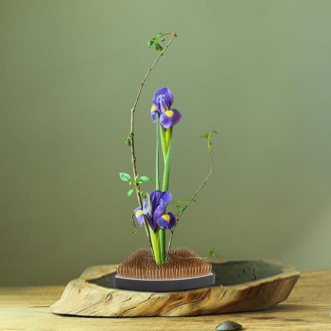 Boogvormige Bloemen Kenzan Houder Bloemschikking Naaldspeld Schikgereedschap Accessoires(L ) brown