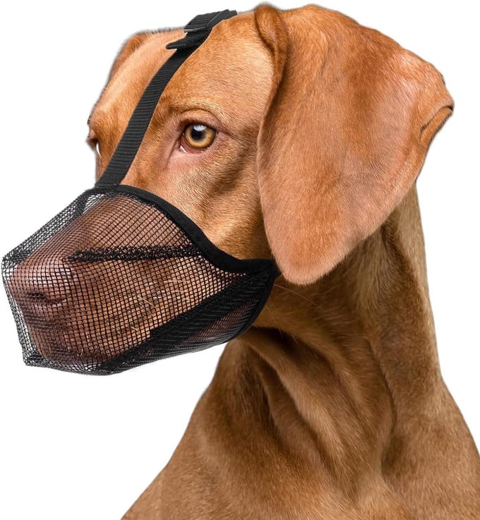 Hondenmuilkorf - Ademende Korf - Veiligheid Hond - Ventilatie Mesh - Maat M - Zwart