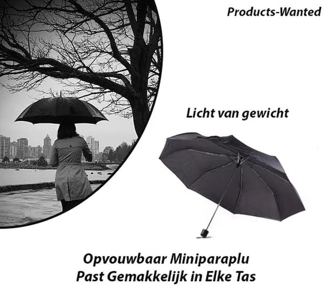 2-Stuks Opvouwbaar Miniparaplu Past Gemakkelijk in Elke Tas