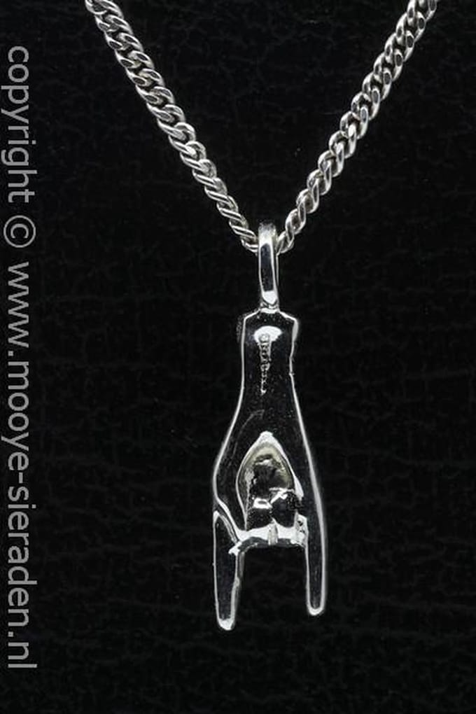 Zilveren Duivelshand middel ketting hanger