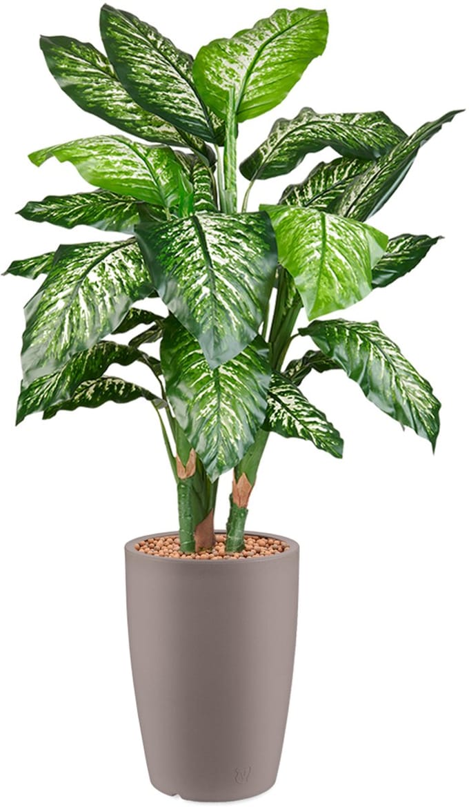 HTT - Kunstplant Dieffenbachia in Genesis rond taupe H140 cm