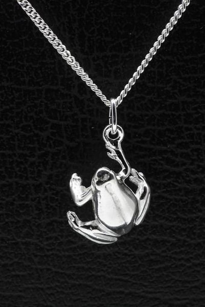Zilveren Kikker ketting hanger