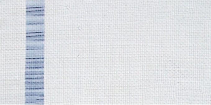ARA Acrylverf 250 ML A2 Zinc White