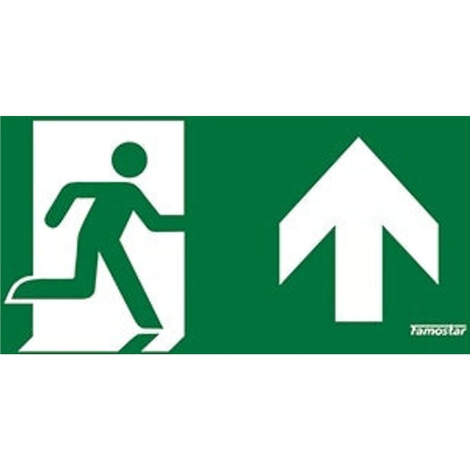 Famostar Pro Pictogram Noodverlichting - 392583