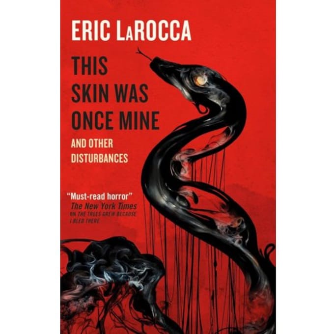 This Skin Was Once Mine And Other Disturbances - Eric LaRocca