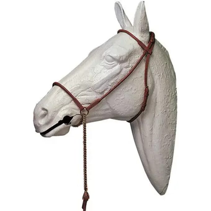 Halster voor paarden Lexhis