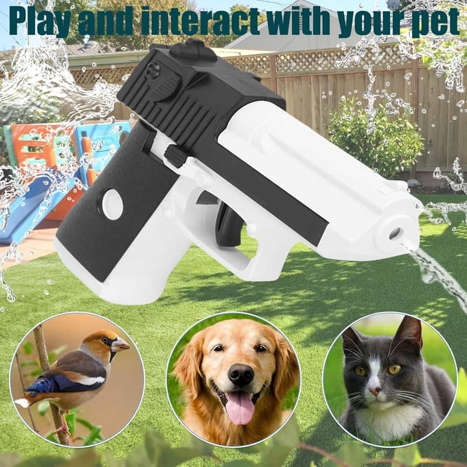 Compact Waterpistool voor Zomerpret op Strand en Zwembad