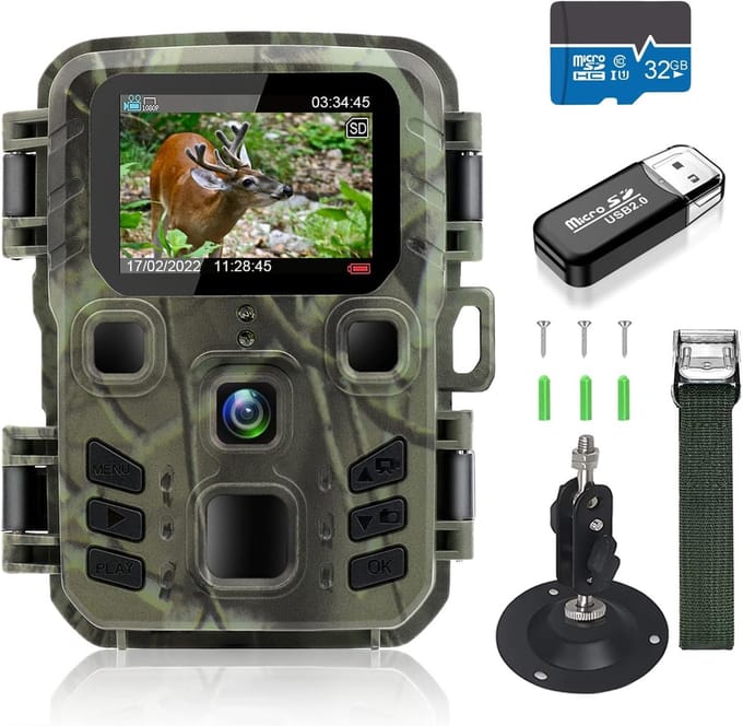 Wildcamera met Nachtzicht - Buitencamera - Waterdicht - Full HD - Natuur beeld