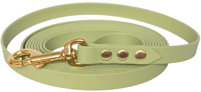 Hondenlijn - BioThane® - Guacamole - 10 meter - 16mm - Middelgrote hond