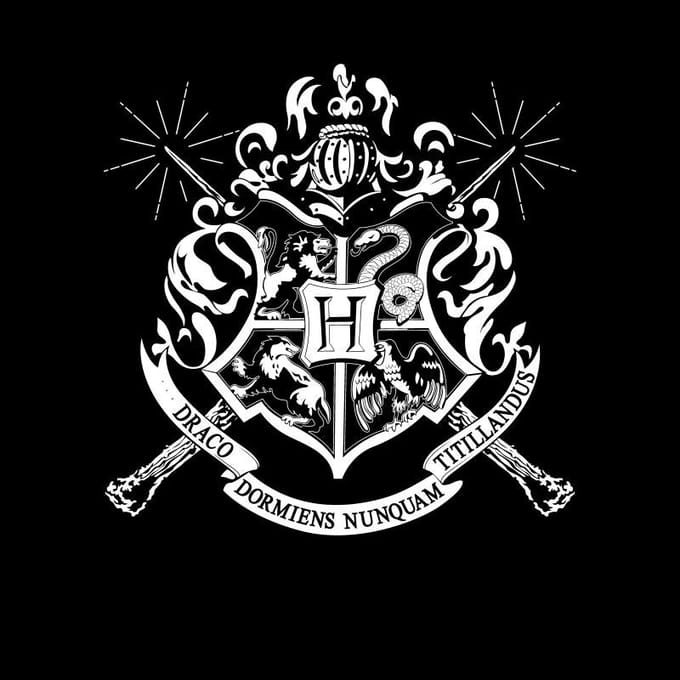 Harry Potter Hogwarts T-shirt - Zwart - M