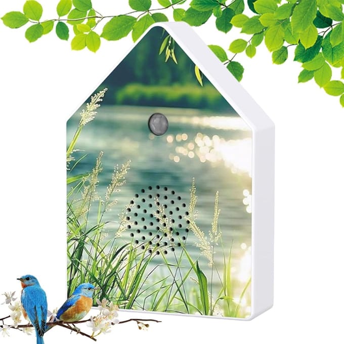 Muziekbox Zingende Vogel - Natuurgeluid Doos - Ontspanning Bevorderen - Met Bewegingssensor - 18 x 12 x 5 cm - Wit