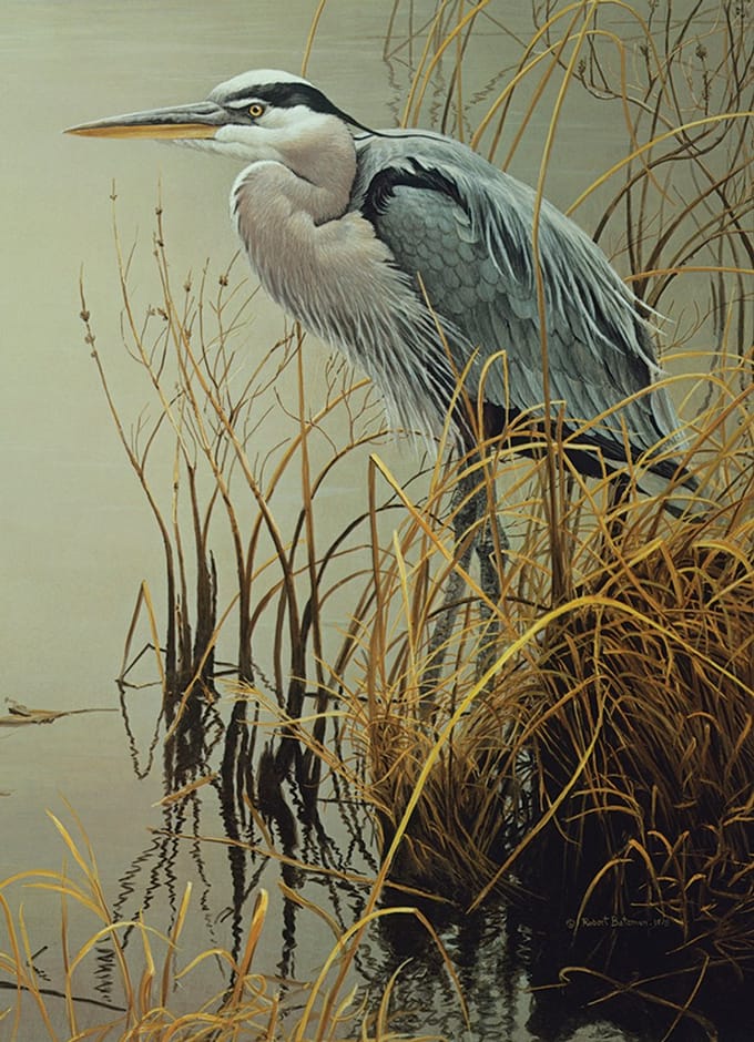 Cobble Hill Puzzel 500 Stukken - Blauwe Reiger