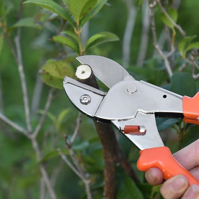 Sécateur à lame en acier avec poignées ergonomiques, ciseaux de jardinage, bonsaï M