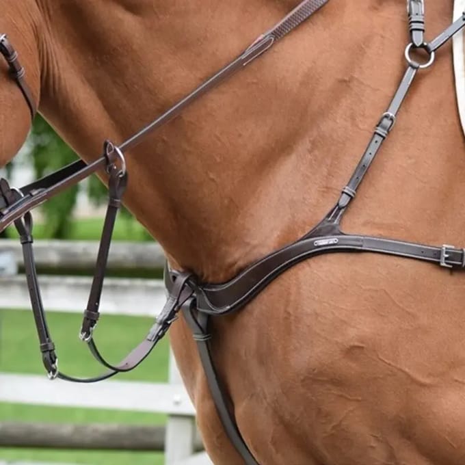 Vijfpunts harnas voor paard met martingaal Jump'In