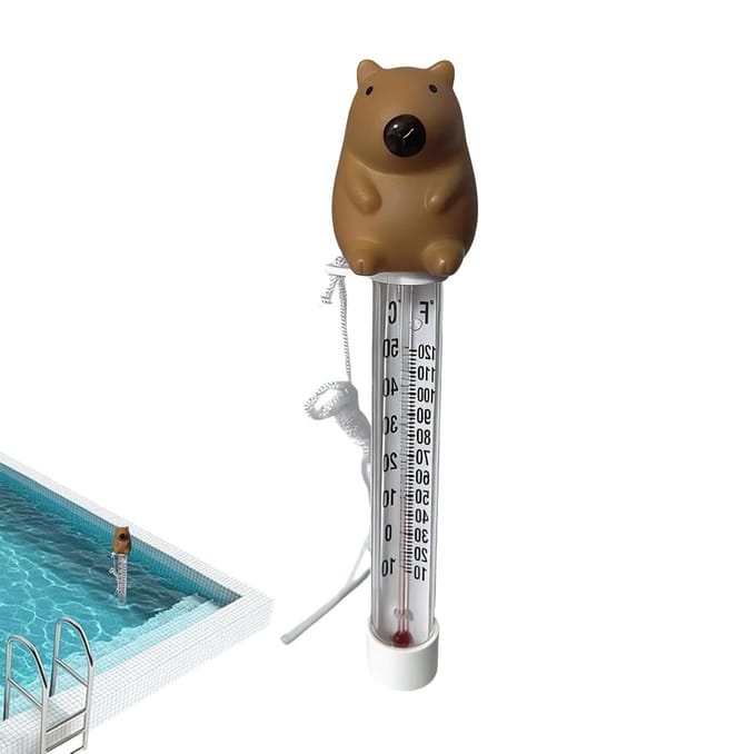 Zwembadthermometer Drijvend - Watermeter Bad - Temperatuur Meten - Vrolijk Design - 22 cm Lengte - Multicolor