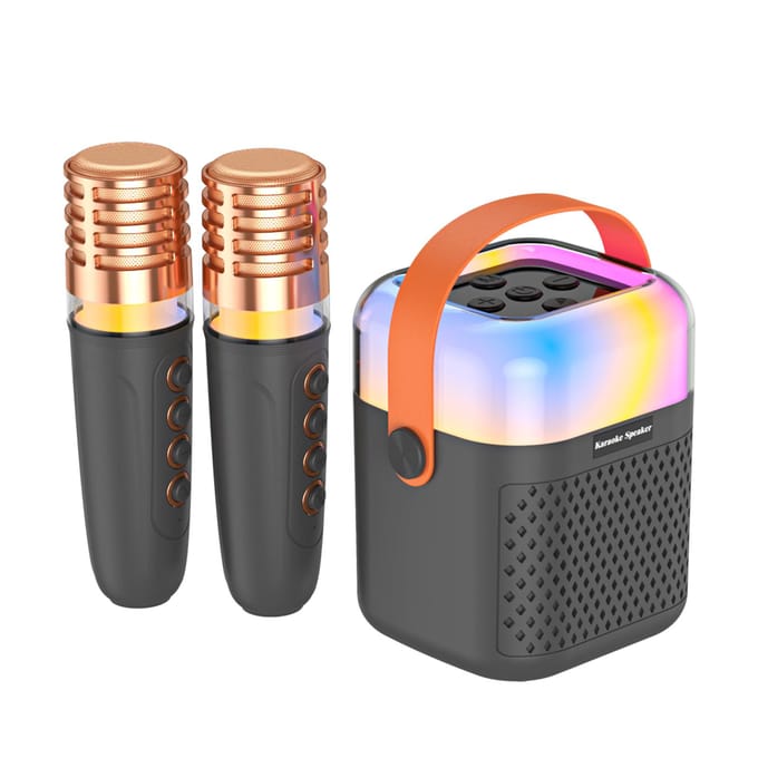 Karaokemachine met 2 draadloze microfoons BT-microfoon en luidspreker KTV-set met RGB-licht zwart