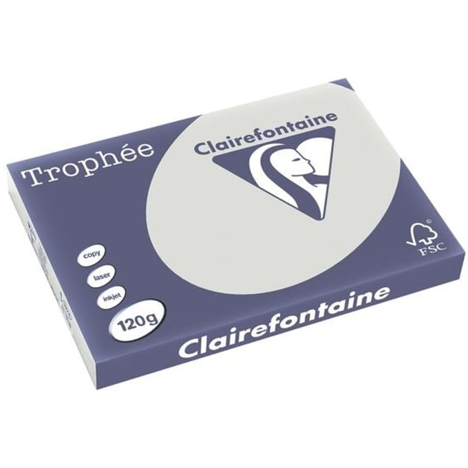 Clairefontaine Trophée Pastel A3 lichtgrijs 120 g 250 vel