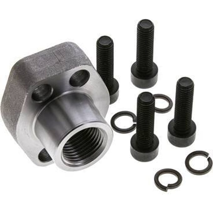 1/2'' SAE Flens 3000 psi Blank staal met G1/2'' Binnendraad ISO 6162-1