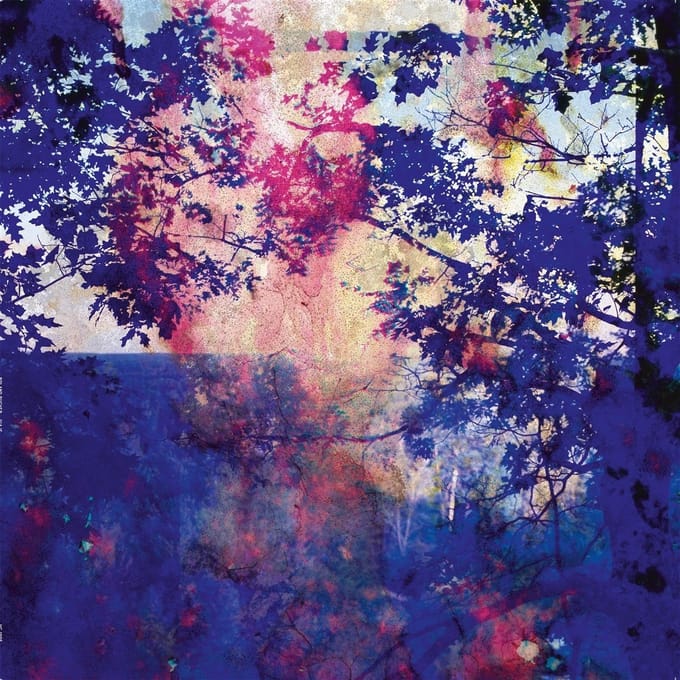 Roland Bucher - Viaje (LP)