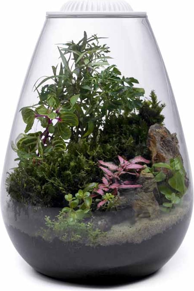 Wabi Kusa Bio Bowl 200
