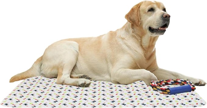 Honden Trainingsmat - Puppy Pads - Zindelijkheidstraining - Snel Absorberend - 60 x 40 cm - Wit