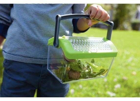 HABA Terra Kids - Insectendoos 19 Cm Transparant/groen