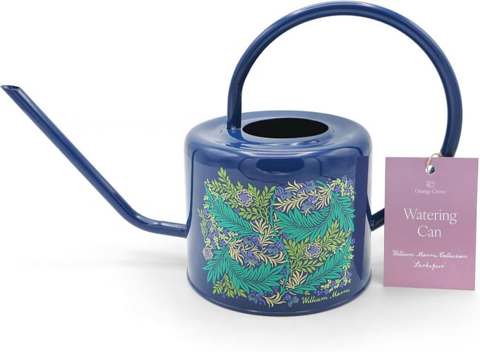 Stijlvolle Gieter met Larkspur Ontwerp