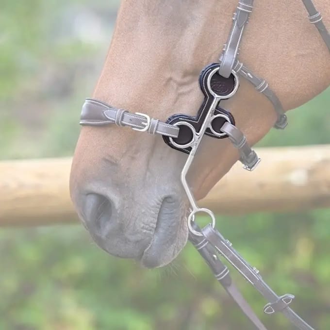 Hackamore Takken van Leer Jump'In