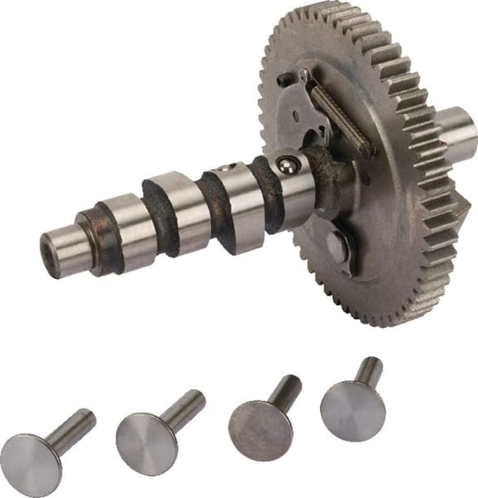 Briggs & stratton nokkenas