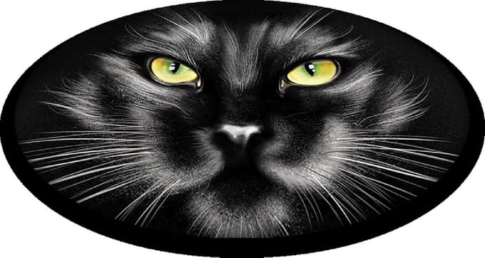 Bertoni - Tuinstoelkussens - Tuinstoel Kussen - decoratief kat - 35 cm -