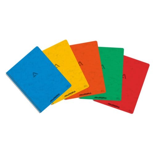 Schrift Aurora 210x165mm ruit 5x5mm 120 pagina's 80gr assorti
