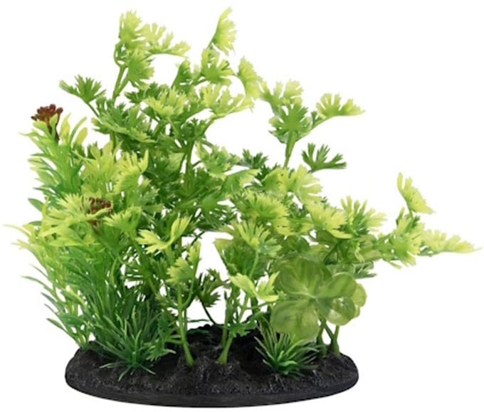 SuperFish Deco Plant S NR. 3