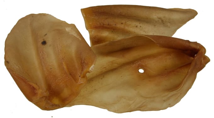 Petsnack Runderoren (100 stuks)