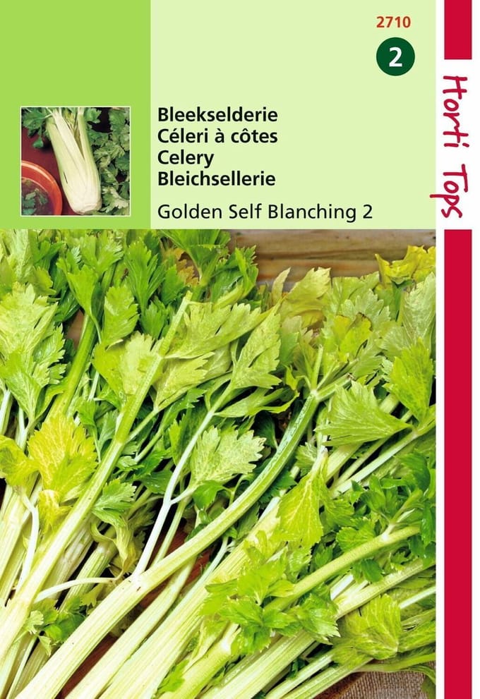 2 stuks - Hortitops - Bleekselderie Goudgele Zelfblekende 2