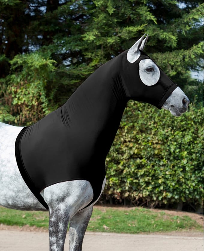 Elastische paardenmuts LeMieux