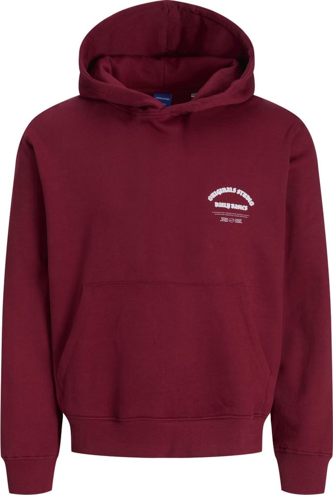 JACK&JONES - JORMEADOWS SWEAT HOOD JNR - Jongens - Sweaters