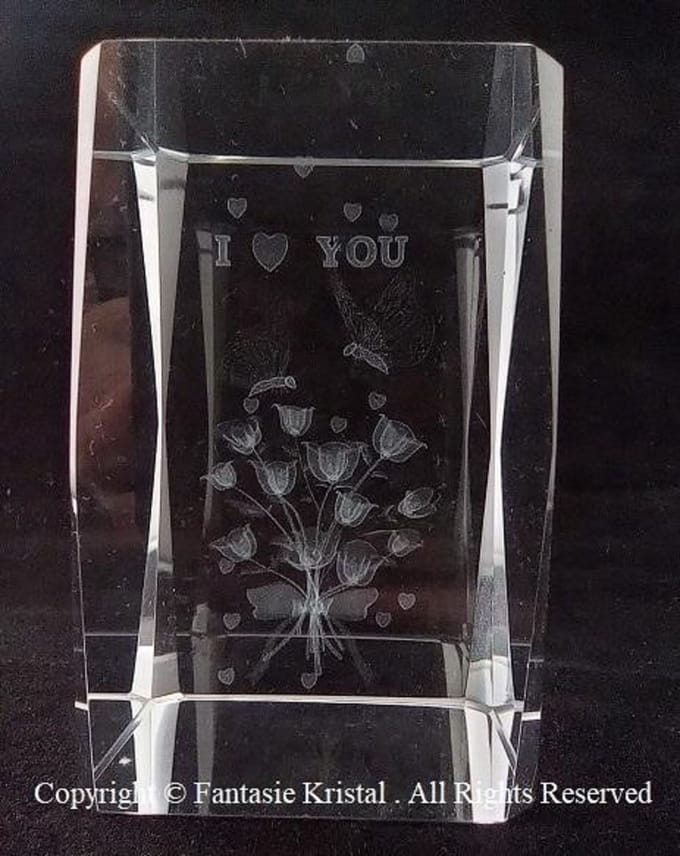 3D Laserblok Visser