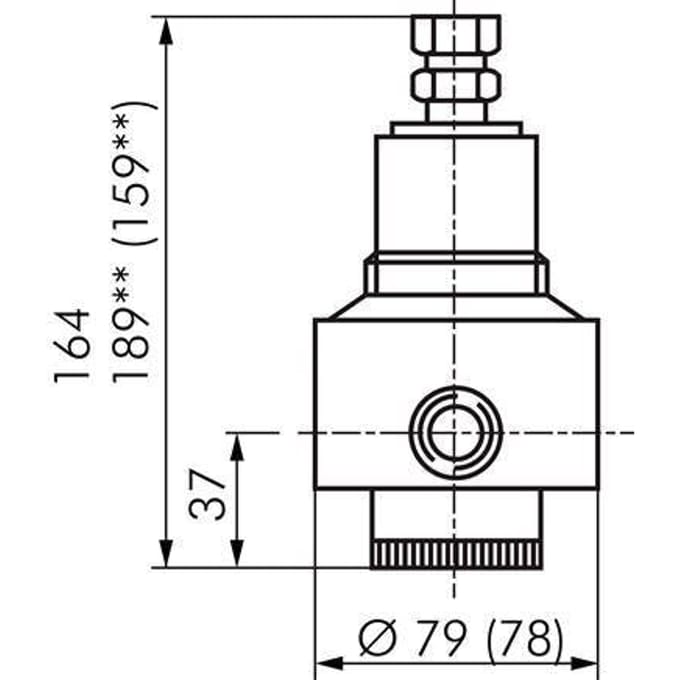 Vervangingsmembraan PTFE/NBR 1/2''.