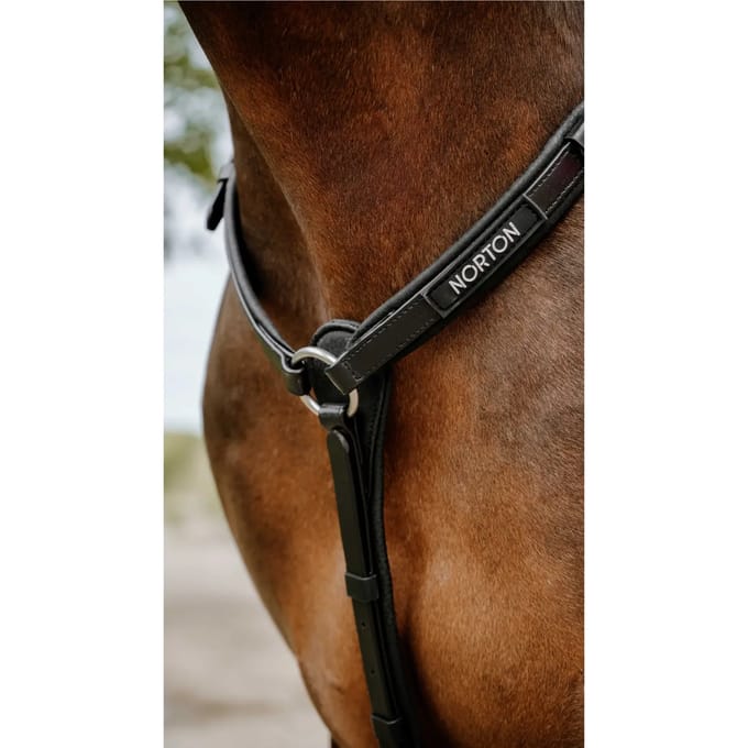 Jachthalsband voor paarden Norton Pop