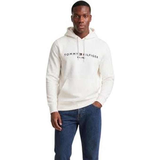 Capuchon sweaters Tommy Hilfiger TOMMY LOGO MW0MW11599