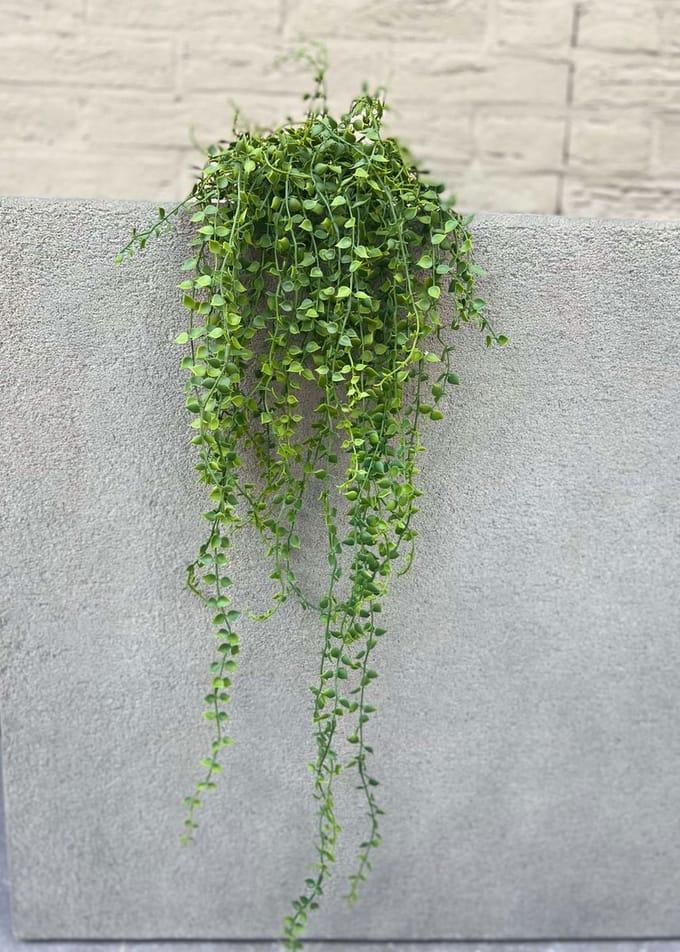 LeopoldFlora Callisia Repens Kunsthangplant - 70 cm - Groen