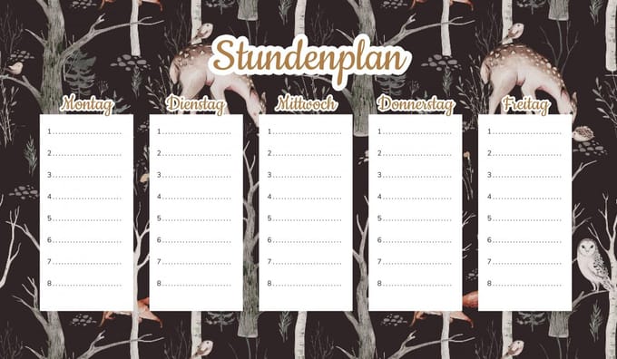 Wallvy - Magnetisch Lesplan - 30x17,5cm - Personaliseerbaar - Droog uitwisbare Marker